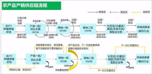 东方鑫达 全方位打造现代化农产品供应链体系